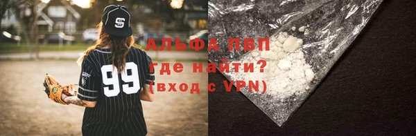 сатива Арсеньев