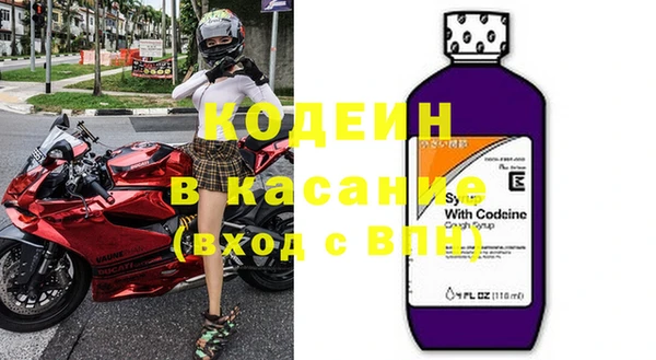 сатива Арсеньев