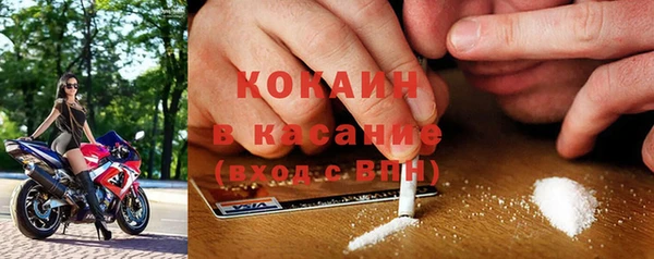 сатива Арсеньев