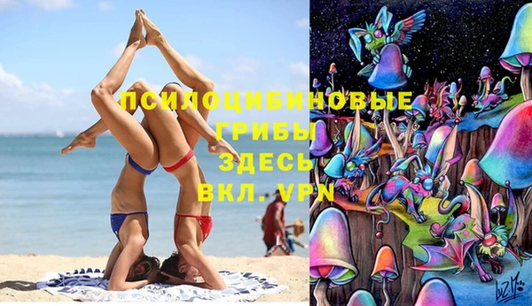 гашиш Аркадак