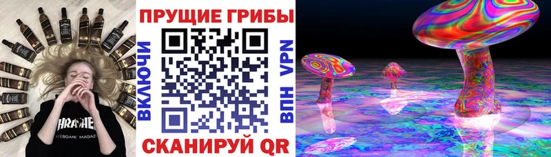 где можно купить наркотик  Лесозаводск  Галлюциногенные грибы MAGIC MUSHROOMS 