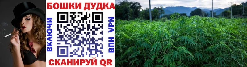 купить наркотик  МЕГА ссылки  МАРИХУАНА Amnesia  Лесозаводск 
